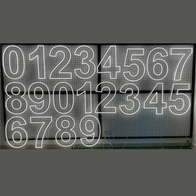 Custom Numbers Neon Signs Birthday Annual Event Anniversary House Number Personalize Number Lighting