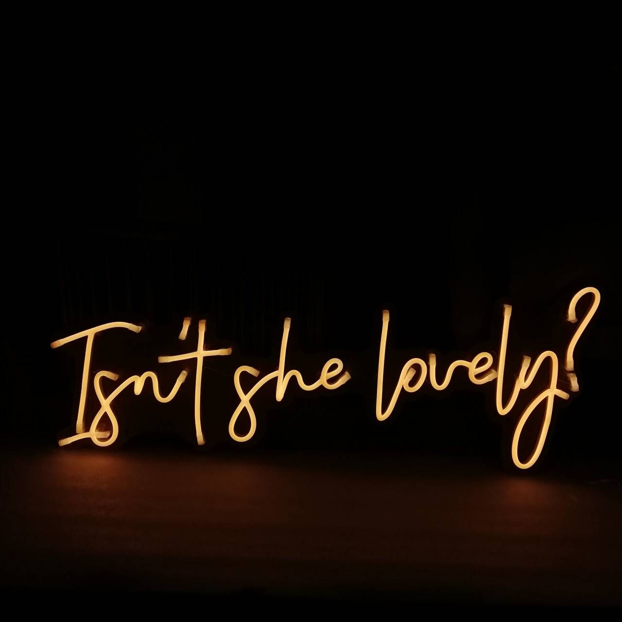 Isn't she lovely? Neon Signs Led Neon Lighting